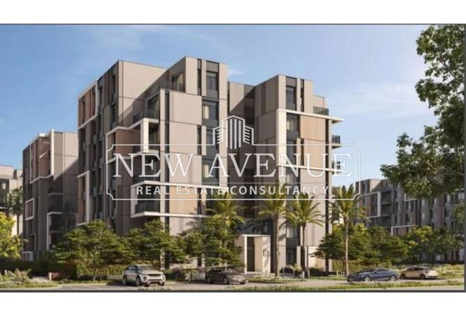 8449956 - Property Image 3