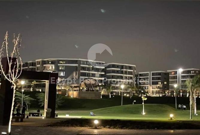 8345818 - Property Image 3