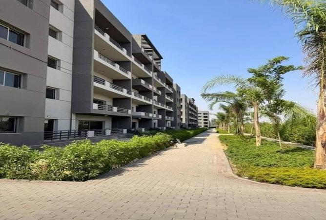 7977427 - Property Image 2