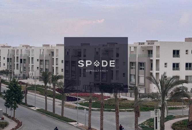 8535783 - Property Image 2