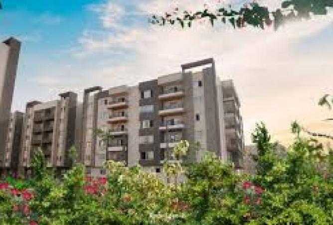 8368864 - Property Image 3