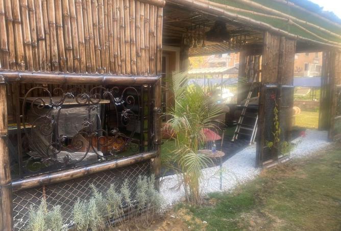 8558684 - Property Image 2