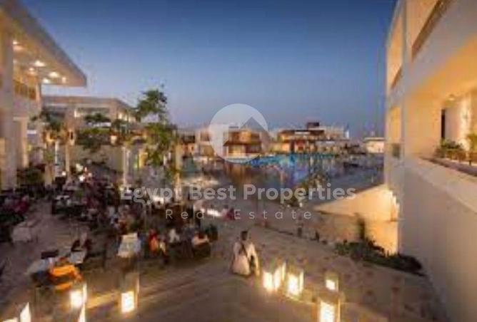 8197416 - Property Image 2