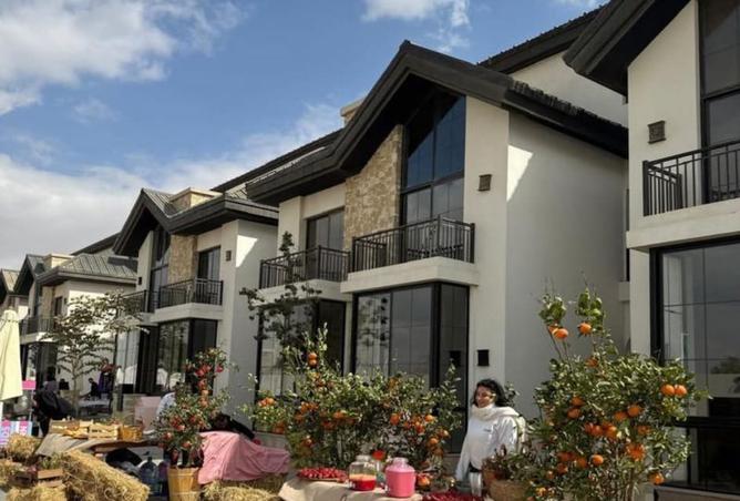 8007455 - Property Image 3