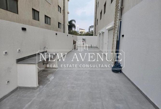 8167939 - Property Image 3