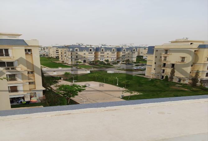 7975468 - صورة العقار 3