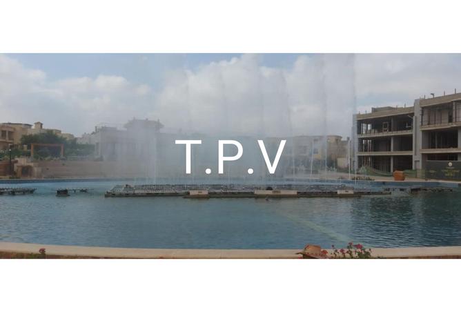 8046262 - Property Image 3