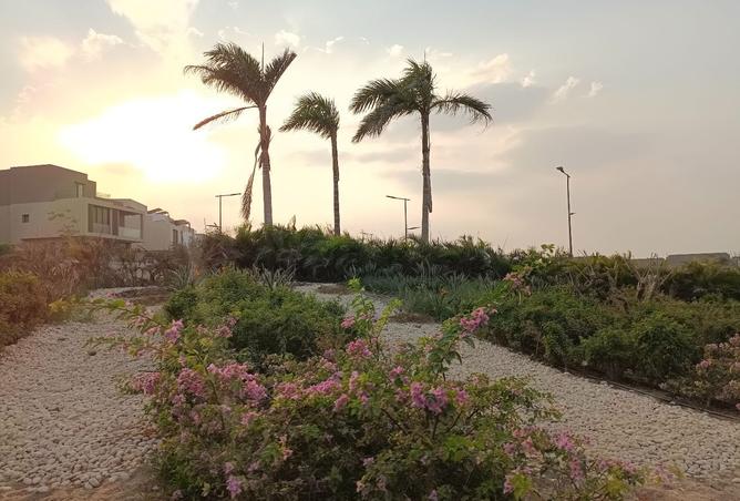 8111049 - صورة العقار 3