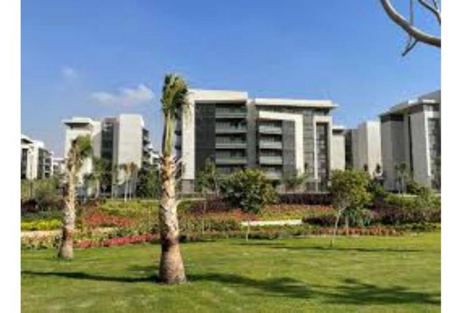 8369577 - صورة العقار 2