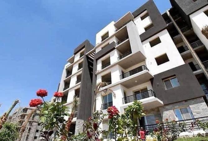 8459435 - Property Image 2