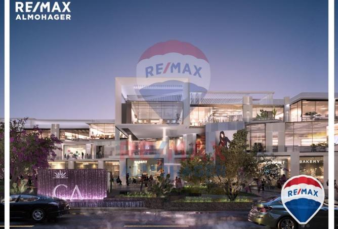 8437118 - Property Image 3