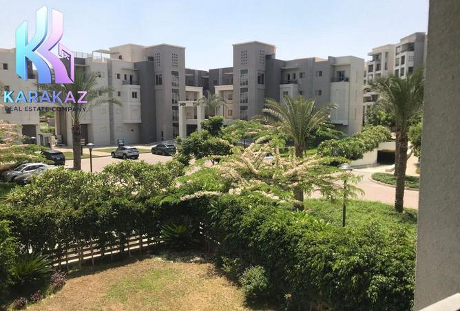 8042930 - صورة العقار 3