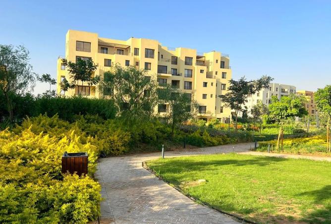 8231006 - صورة العقار 3