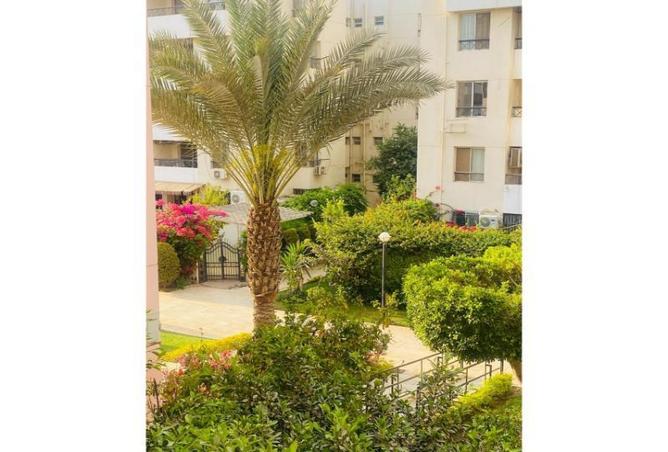 7894047 - صورة العقار 2