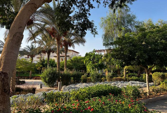 8435996 - Property Image 2