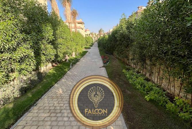 8245336 - صورة العقار 3