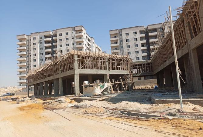 8350819 - Property Image 3