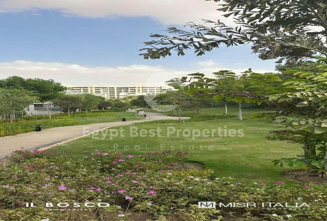 8459698 - Property Image 3