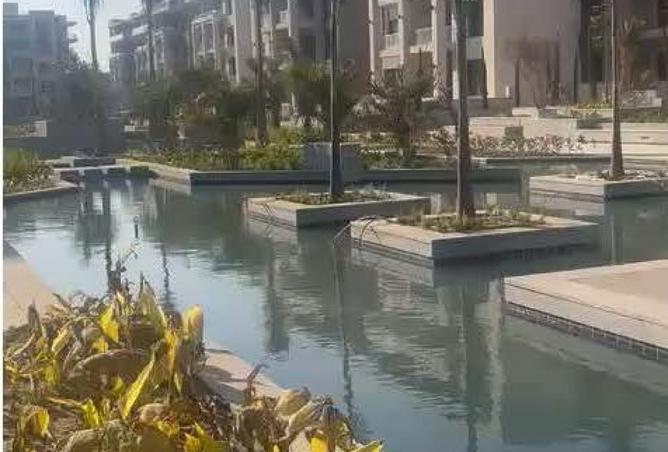 8473611 - صورة العقار 3