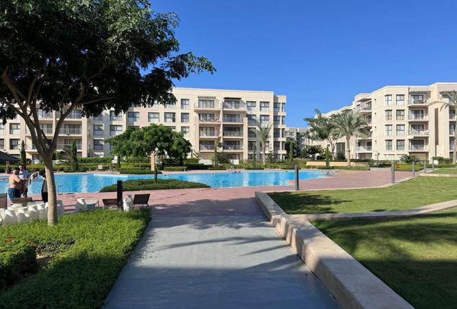 8161963 - Property Image 3