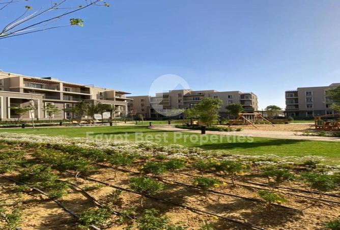 8221931 - Property Image 2