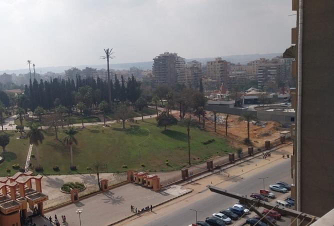 8119936 - صورة العقار 2