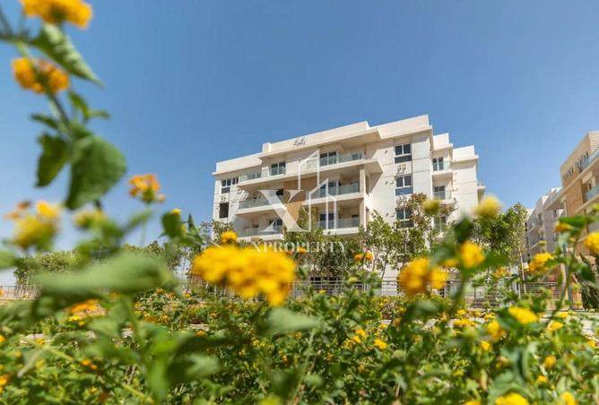 8021847 - Property Image 3