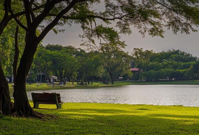 8302334 - الصورة الرئيسية للعقار