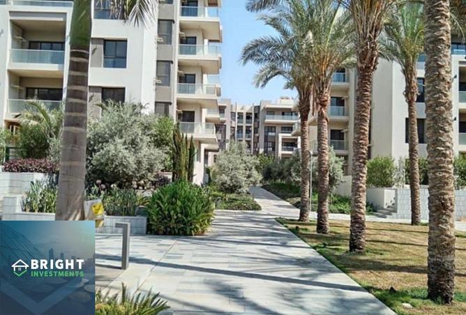 8273470 - Property Image 3