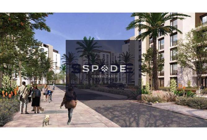 8176463 - Property Image 2