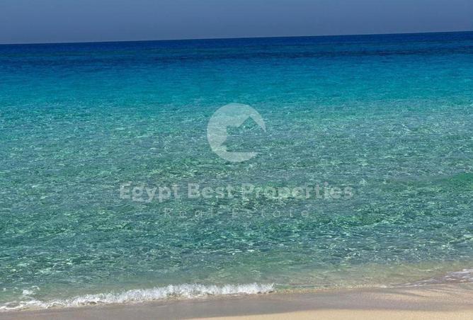 7903188 - صورة العقار 3