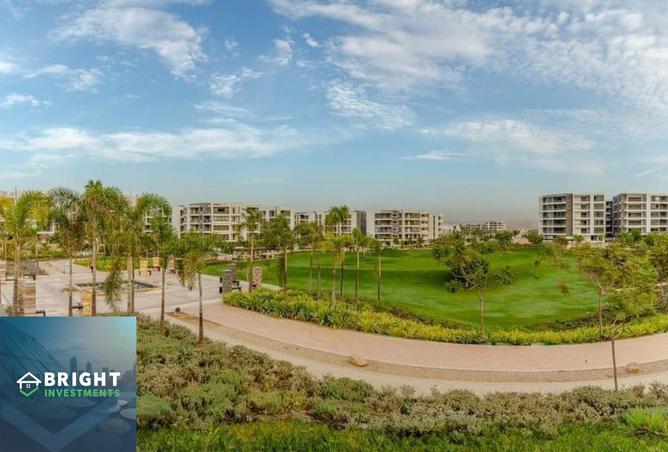 8238799 - Property Image 2