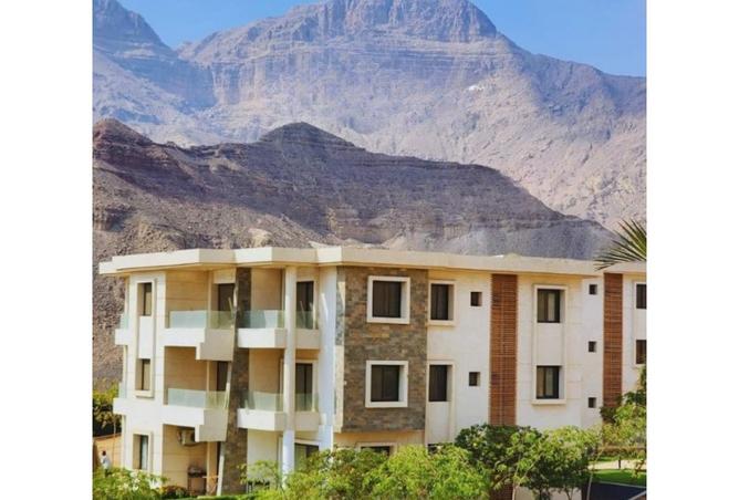 8217440 - صورة العقار 2