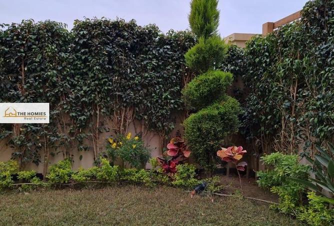 7978944 - صورة العقار 2