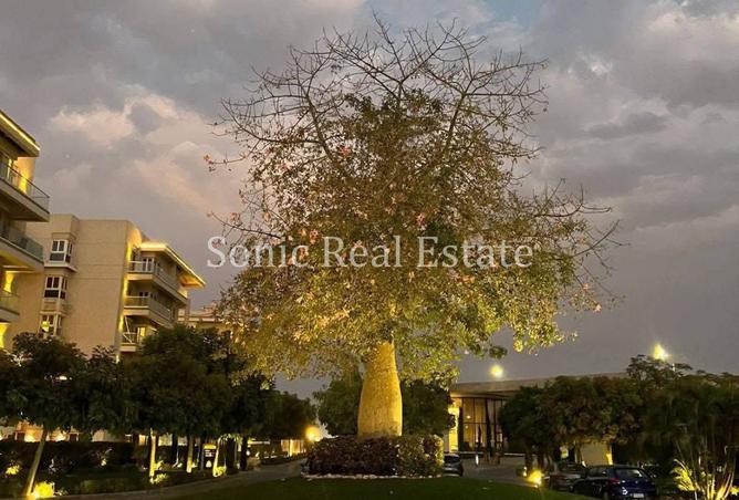 8511736 - Property Image 2