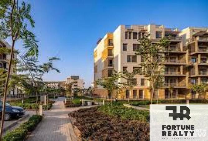 8343821 - Property Image 3