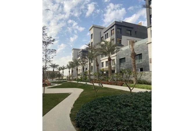 8112759 - Property Image 3