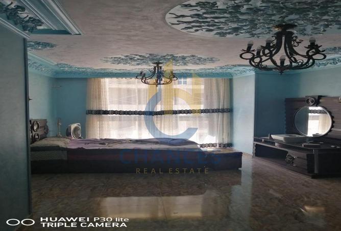 8194160 - Property Image 3