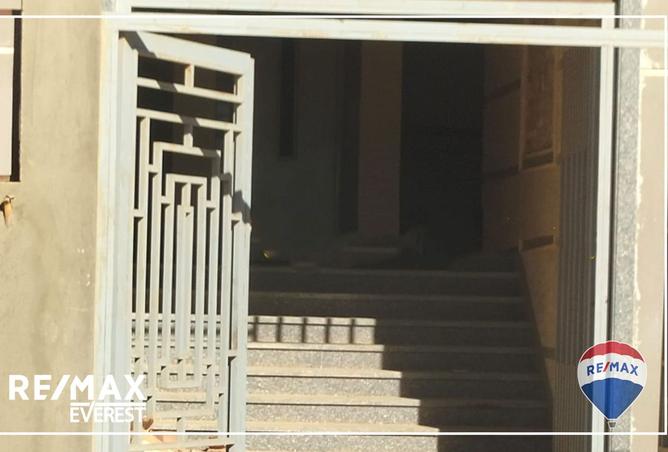 8009297 - صورة العقار 3