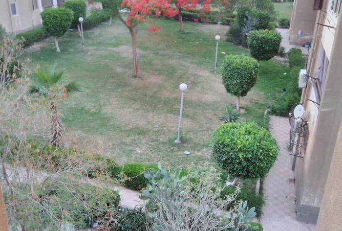 8207062 - صورة العقار 2