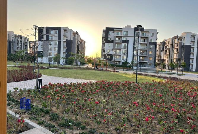 8191851 - صورة العقار 3