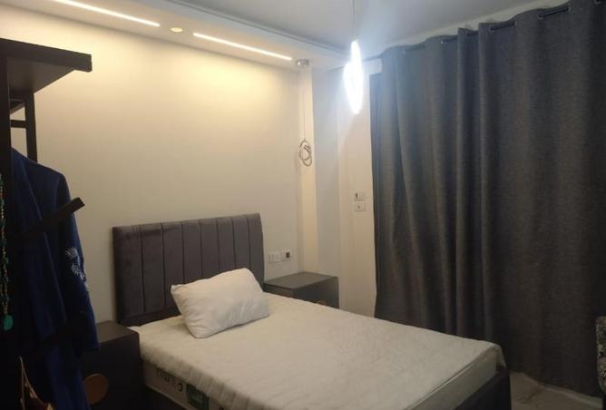 8395889 - Property Image 3