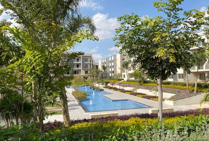 8182495 - Property Image 3