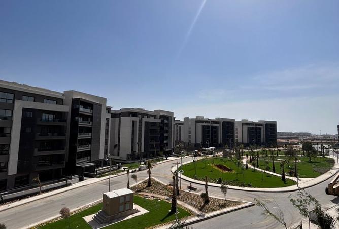 8293564 - صورة العقار 3