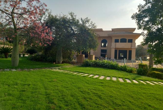 8216287 - الصورة الرئيسية للعقار