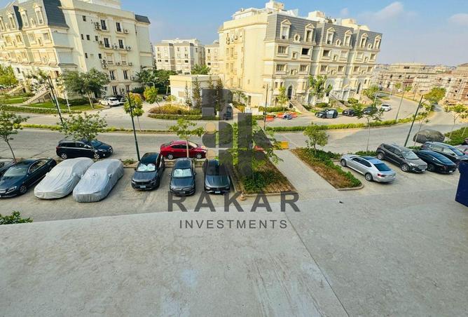 8131833 - Property Image 3