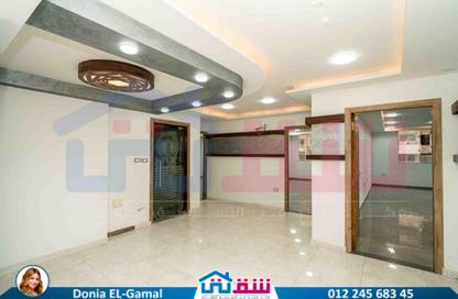 Office Space - Studio - 2 Bathrooms for rent in Iskandar Ibrahim St. - Miami - Hay Awal El Montazah - Alexandria