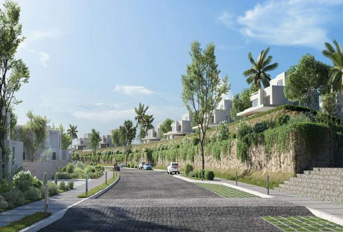 8117707 - Property Image 3