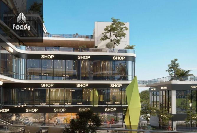 8209448 - Property Image 3