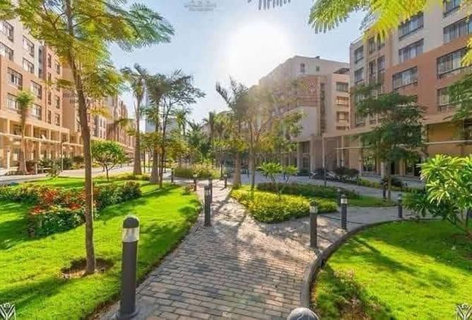 7971315 - الصورة الرئيسية للعقار